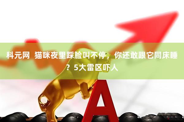 科元网  猫咪夜里踩脸叫不停，你还敢跟它同床睡？5大雷区吓人