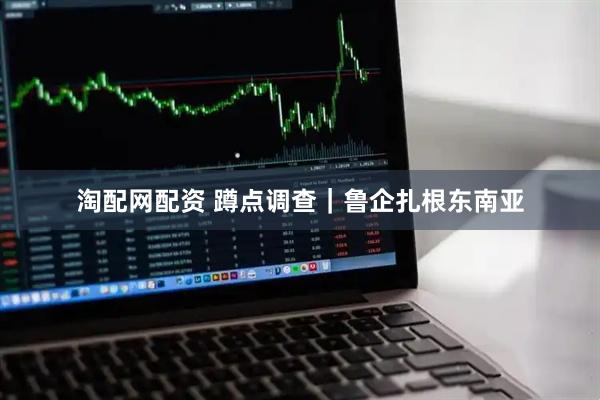 淘配网配资 蹲点调查｜鲁企扎根东南亚