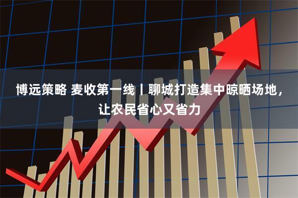 博远策略 麦收第一线丨聊城打造集中晾晒场地，让农民省心又省力