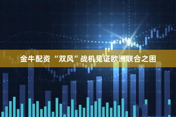 金牛配资 “双风”战机见证欧洲联合之困