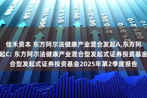 佳禾资本 东方阿尔法健康产业混合发起A,东方阿尔法健康产业混合发起C: 东方阿尔法健康产业混合型发起式证券投资基金2025年第2季度报告