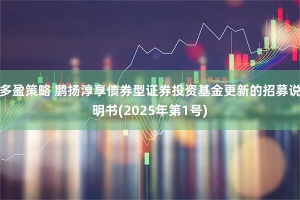 多盈策略 鹏扬淳享债券型证券投资基金更新的招募说明书(2025年第1号)