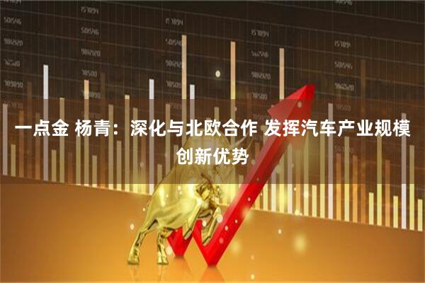 一点金 杨青：深化与北欧合作 发挥汽车产业规模创新优势