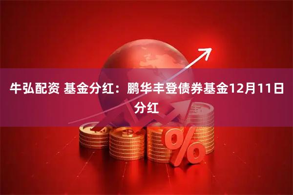 牛弘配资 基金分红：鹏华丰登债券基金12月11日分红