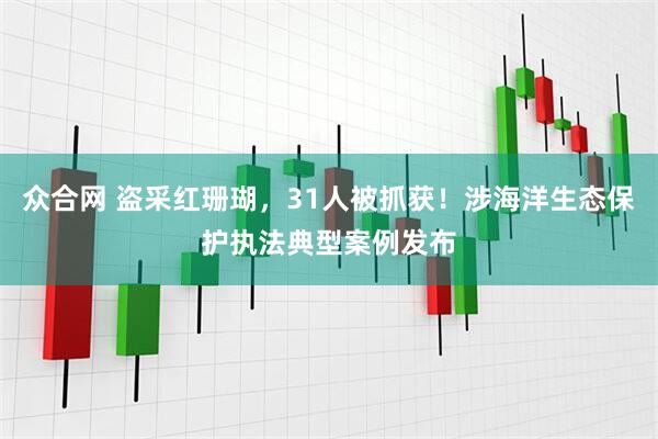 众合网 盗采红珊瑚，31人被抓获！涉海洋生态保护执法典型案例发布